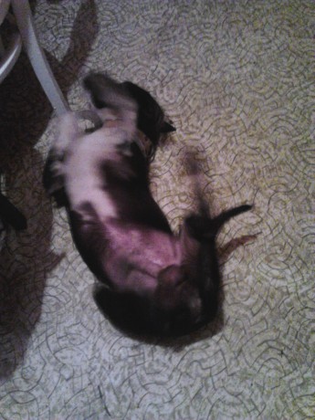 IMG_20140120_215124_015